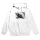 イブショップの股間隠し Hoodie