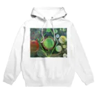 ただのわえの薬師如来 Hoodie