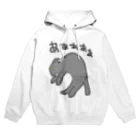 ミナミコアリクイ【のの】の抱っこ嫌だ【猫】 Hoodie