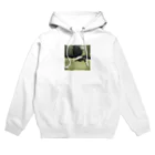 hinn-ketuの４、カメのお散歩 Hoodie