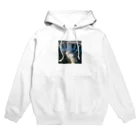 metametamonnのアルゼンチンのイグアスの滝 Hoodie