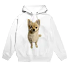 なんばまさるのそらくん Hoodie