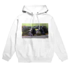 kotetsu3zuakaのトーマストゲオアガマ Hoodie