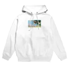 Try Anythingの秘境シリーズ Hoodie