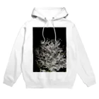 sevenationのSAKURA3 Hoodie