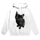 ねこねこねこねこのくーちゃん Hoodie