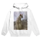 Mizuki・ASIA CATの後ろ美猫MILU🐾 Hoodie