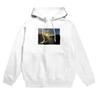 Suicaのけしき Hoodie