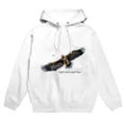 boodashの鷲が飛ぶ Hoodie