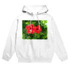 EHMforyouの南国　ハイビスカス　パワースポット Hoodie