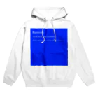 DULTONのブルーバックエラー Hoodie