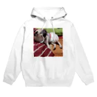 PaguparkのPugのぱぐお Hoodie