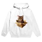 猫の小梅お嬢さんの小梅ちゃん　箱猫 Hoodie