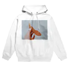 nora_nのえびふりゃ どっと Hoodie