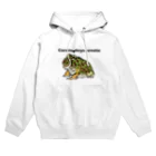 まめつぶのベルツノさん Hoodie