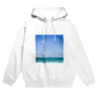 AlohaSolのAlohaSol Original Photo Hoodie