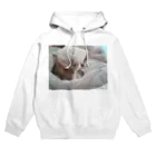 rikkyo_lgbtnizaのねこ Hoodie