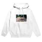 𝑅𝑖𝑛𝑎 𝐴𝑚𝑎𝑔𝑎𝑦𝑎のOnly  not Lonely Hoodie