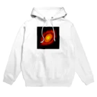 paranoia250lyのPlanetary disk Hoodie