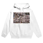 hiroki-naraの光景　sight0053　桜　2015_009　サクラ Hoodie