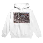 hiroki-naraの光景　sight0071　桜　2015_016　サクラ  Hoodie