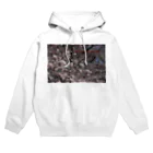 hiroki-naraの光景　sight0072　桜　2015_017　サクラ Hoodie