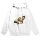 濱田のねこ　シュール　ちゃん Hoodie