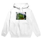 Francponeyのトルマリンじゃないよ。ペリドットだよ。 Hoodie