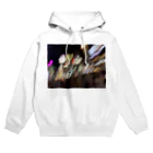 くうきのnankakakkoiieigo Hoodie