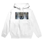 s u m o r i. 𓎩 𓎻のチベスナと共に見つめる5 ステッカー Hoodie