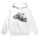 Momojiの犬画のフレブル10 Hoodie