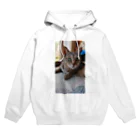 キジトラ猫ミミのキジトラ猫ミミさん Hoodie