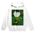 hiroki-naraの芙蓉 DATA_P_132　Confederate Rose ハスの花の古名 Hoodie