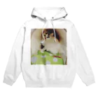 ねこまる広場の新しい家族☆おもち君 Hoodie