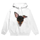 Lottiのミニピン　ミニチュアピンシャー　顔アップ Hoodie