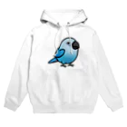 Cody the LovebirdのChubby Bird アオコンゴウインコ Hoodie