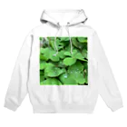 Mo.の🌿 Hoodie