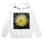 でおきしりぼ子の実験室のサボテンの花 Hoodie