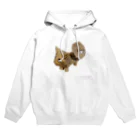 asanoken1のネコナビ Hoodie