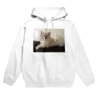 Pomeraniansのスンとするポワル Hoodie