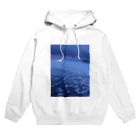 8177の空からの景色 Hoodie