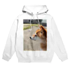 華柴の華柴 Hoodie