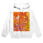 saki315の秋色の紅葉いっぱい Hoodie