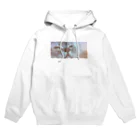 ふじもの恍惚の梵天丸ちゃん Hoodie