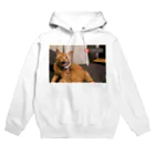 オラのネッコを見てくれのemergency cat Hoodie