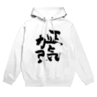 だんごむしの正気か？ Hoodie