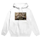 神田🅙のカクトクリヌス Hoodie