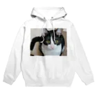 ハチワレ猫とらくがきの我が家のサン Hoodie