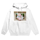 にくもちの赤ちゃん🧸のレインボーハエトリグモちゃん Hoodie