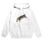 ねこのパピコのパピコ（某ブランドのすがた） Hoodie